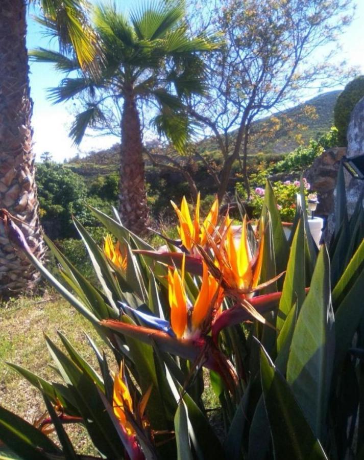 La Casita Ma Petite Folie Tenerife 산타크루스데 테네리페 외부 사진