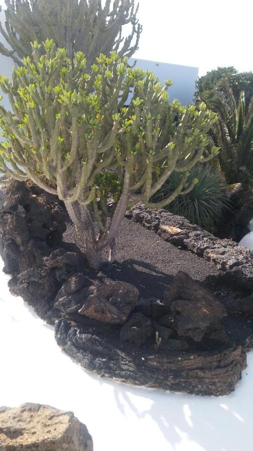La Casita Ma Petite Folie Tenerife 산타크루스데 테네리페 외부 사진